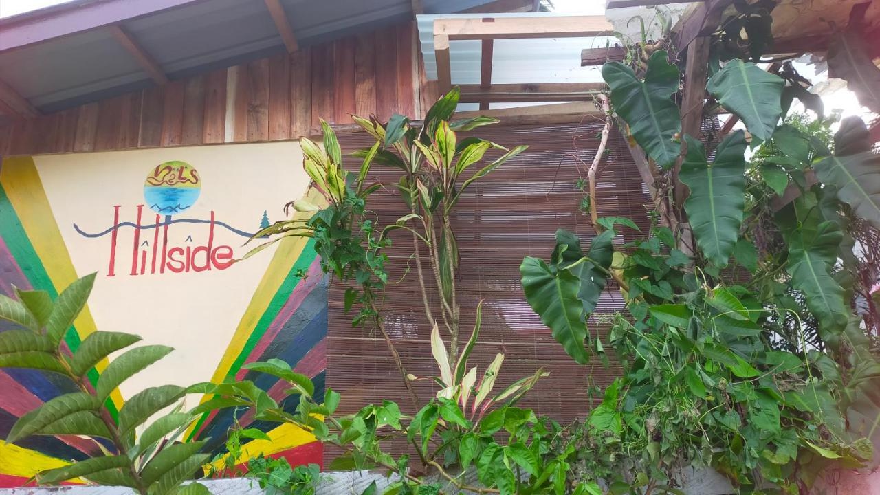 Mil'S Hillside Tourist Inn San Vicente  Exterior photo